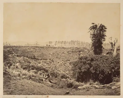 Bay of Islands. Oheawhi [Ohaeawai], scene of the first war in 1845.