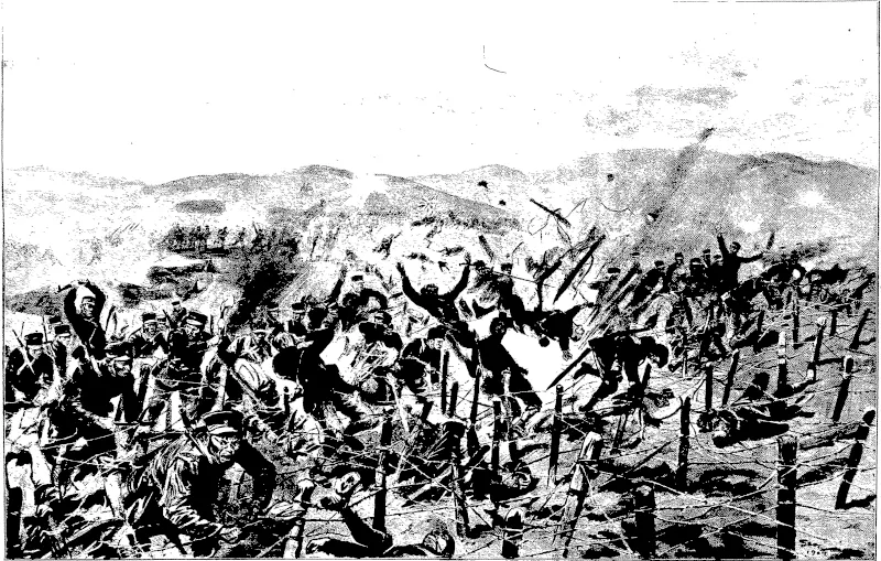 Untitled Illustration