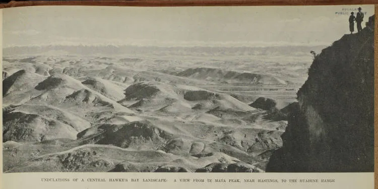 Undulations of a central Hawke's Bay landscape: a view from Te Mata Peak, near Hastings, to the Ruahine Range