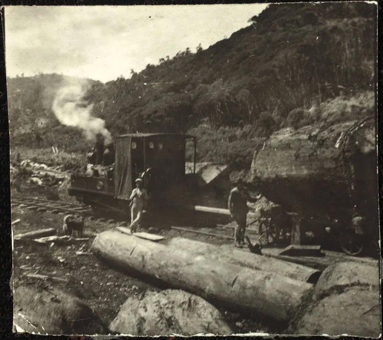 Bush railway locomotive and kauri logs, near Piha