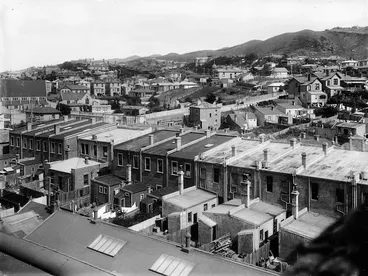 Image: Backyards of houses on Riddiford Street, Newtown