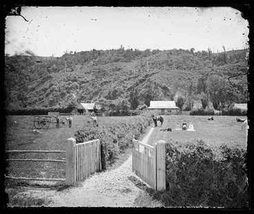 Image: Collett's Farm, Petone