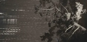 Image: Night sky, Waimamaku Valley