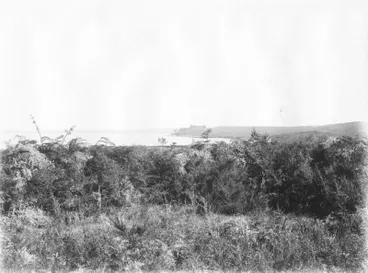 Image: Okaihau, Northland