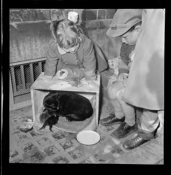 Children admiring cat with kittens, Wellington Railway Station