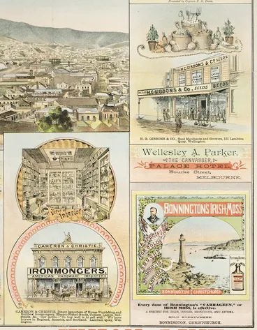 Image: F W Niven & Co. :[Cameron & Christie, H G Gibbons, Bonnington's Irish Moss. 1895]
