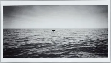 Image: Untitled VII. From: Te hikoi ō Kati Kuri | The journey of Kati Kuri - Kaikoura