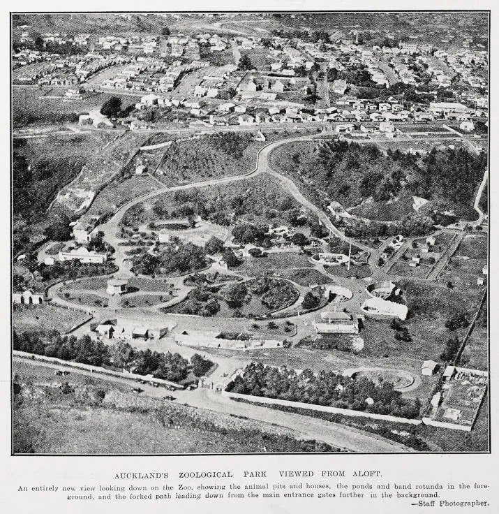 Auckland's zoological park viewed from aloft