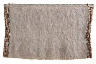 Image: Te Hemoata Kahukurī (dog hair) cloak
