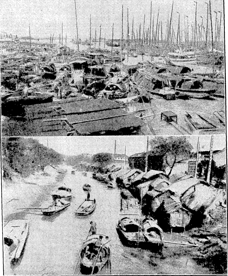 Green and Hahn rhoti MR. A. J. CHORLEY, elected New FLIGHT-LIEUT. C. P. ULM, wl Zealand Grand Master of the Grand ivas severely injured ivhen his aer United Order of. Oddfellows. plane crashed into'power wires .-...•'. Laverton, Victoria. "Erenlnj; Tost" I'Doto. WHERE THE JAPANESE AND CHINESE TROOPS ARE IN CONFLICT.—At, top,Whangpoo river front, TROPHIES HELD BY PETONE RIFLE CLUB MEMBERS.—The principal trophies shown are the Pelone adjacent lo tlic Chinese Bund, at Shanghai. Below,, a view of Soochow Creek, ivhich forms part of tlie Championship Shield (at top), New Zealand Championship Service Shield (top right), White Horse Cup boundary between the Shanghai Settlement and Chapel. for Australian aggregate (bottom left), Club Cup for Imperial Aggregate (bottom right), North Island Challenge Shield (bottom centre), and the Ballinger Belt (on the table). OOPHiS OP "EVENING POBI'i OWN PHOTOGRAPHS MAT BE OBTAINED ON APPLICATION, (Evening Post, 23 February 1932)