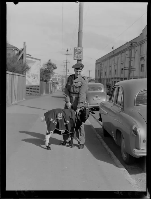 The New Zealand Special Air Service goat mascot