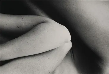 Image: Untitled. From the series: Harmonies and dislocations