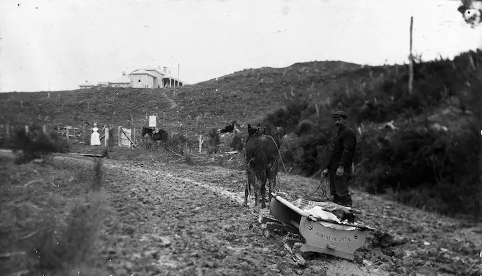 Eb Ferguson taking a patient, who lies in a horse pulled sled, to Rawene Hospital