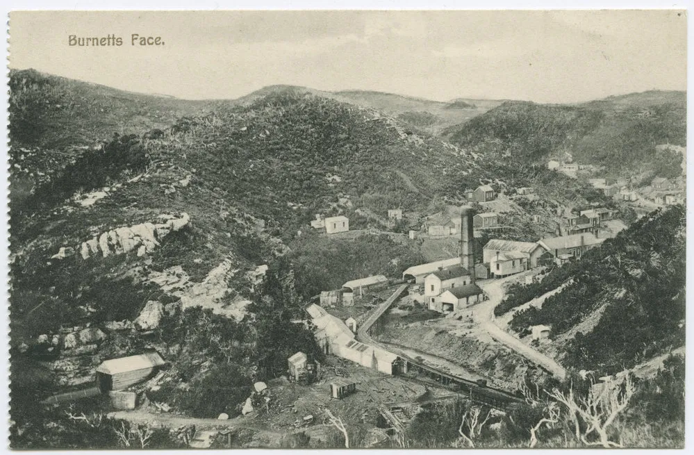 'Burnett's Face', two miles inland from Denniston