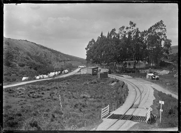 Manuka Railway Station, at Manuka Creek, Clutha District.
