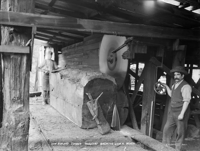 A kauri log being put through a breaking down bench