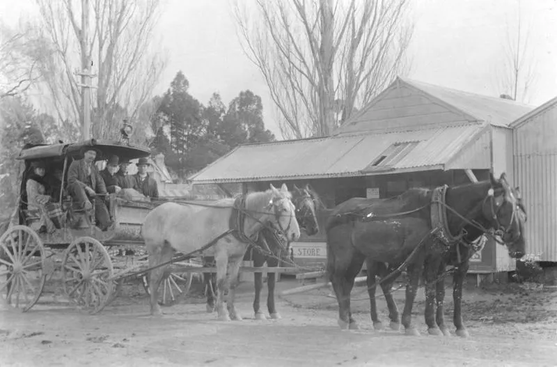 Napier-Wairoa Coach