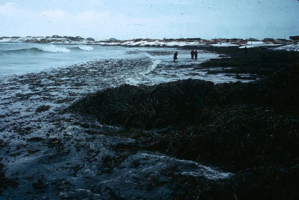 Japan Series: Nemuro