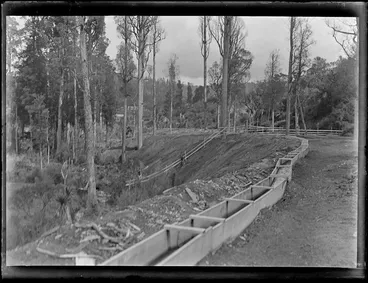 Image: View of a water race just outside the settlement of Kakahi with trees and buildings beyond, Manawatu-Whanganui Region