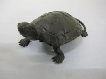 Image: figure, tortoise