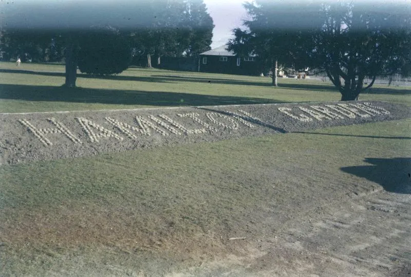 Hamilton Gardens 1960