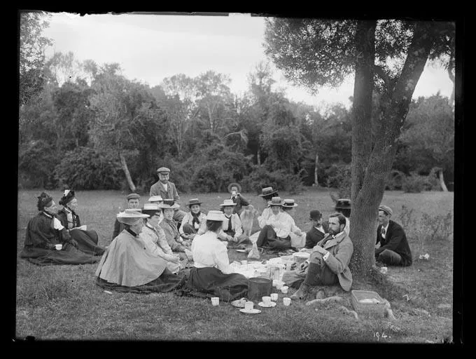 Picnic, Tomlinson's Bush