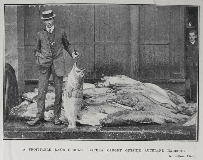 A Profitable Day's Fishing