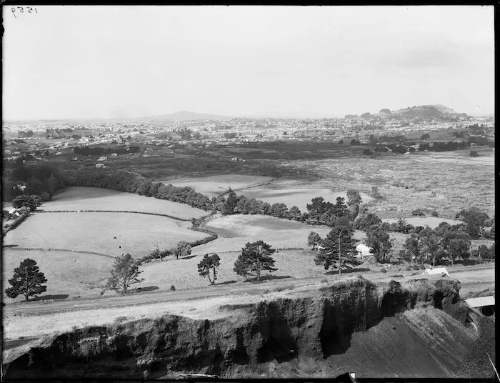 Auckland, from Mt Albert
