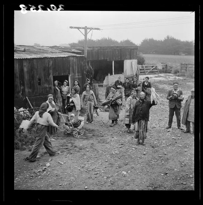 Maori workers at a Services vegetable production project