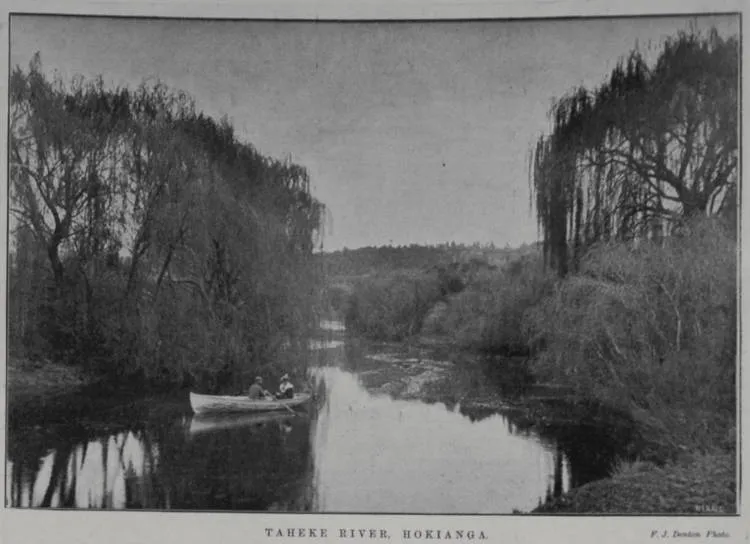 Taheke River, Hokianga