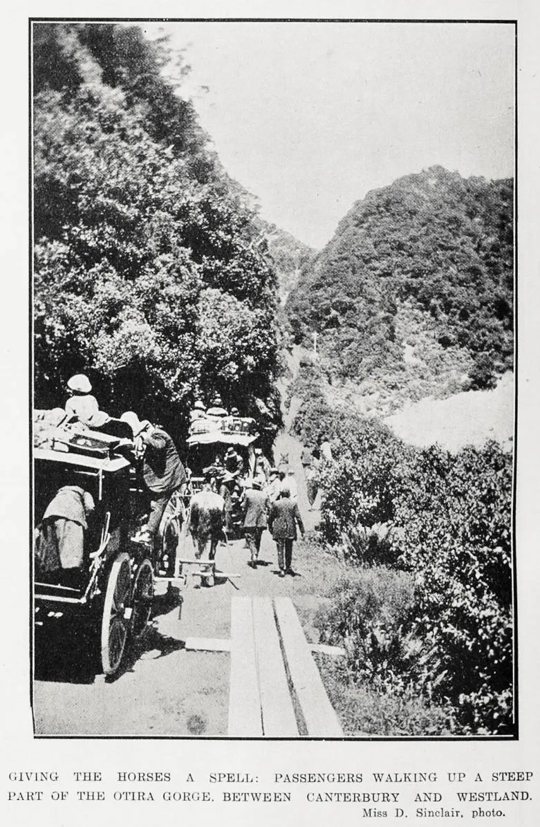 Giving the horses a spell: passengers walking up a steep part of the Otira Gorge, between Canterbury and Westland