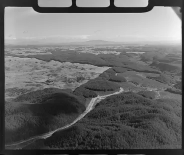 Image: Kinleith Forest with Tokoroa in the distance