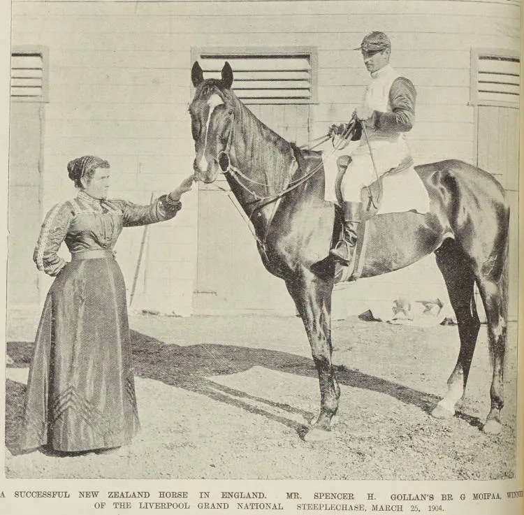 A successful New Zealand horse in England: Mr. Spencer H. Gollan's Moifaa, winner of the Liverpool Grand National steeplechase, March 25, 1904