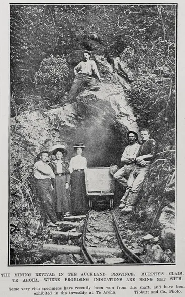 Image: The Mining Revival In The Auckland Province