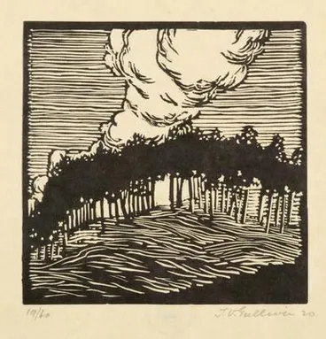 Image: Mountain trees