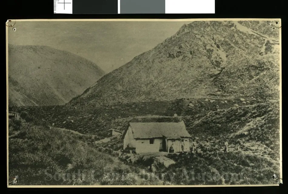 [Big Micks Homestead Birch Hill]