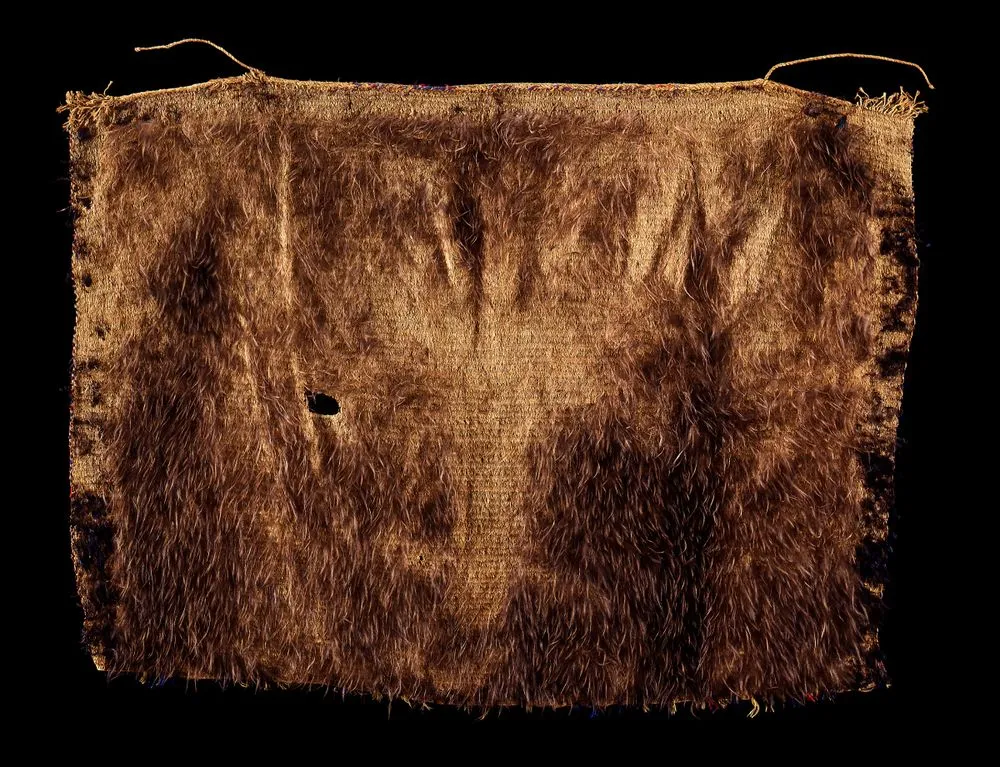 Kahu kiwi (kiwi feather cloak)