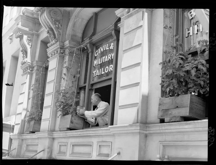 Mr Bert Hines, civil and military tailor, watering beans and tomatoes in windowboxes