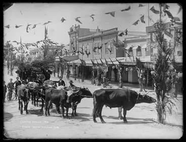 Image: Procession with bullock team during Nelson's diamond jubilee celebrations, Trafalgar Street