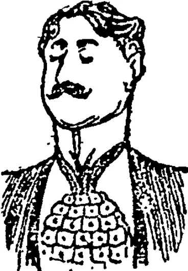 Image: The Pineapple,  —From P cinch. (Otago Witness, 06 April 1899)
