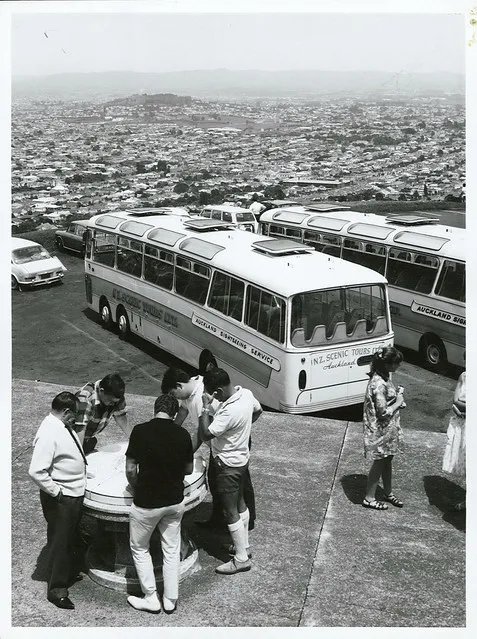 Transport Buses - Mt Eden, Auckland
