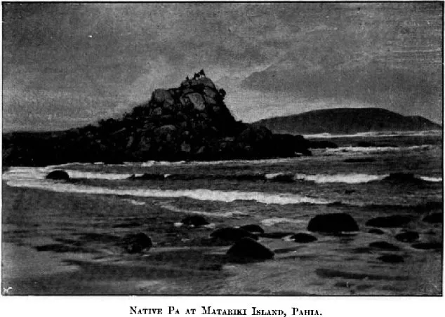 Native Pa at Matariki Island, Pahia