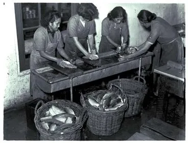 Image: Fish canning, North Auckland