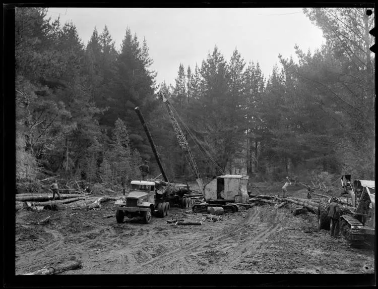 Tokoroa Timber Industry, 1952