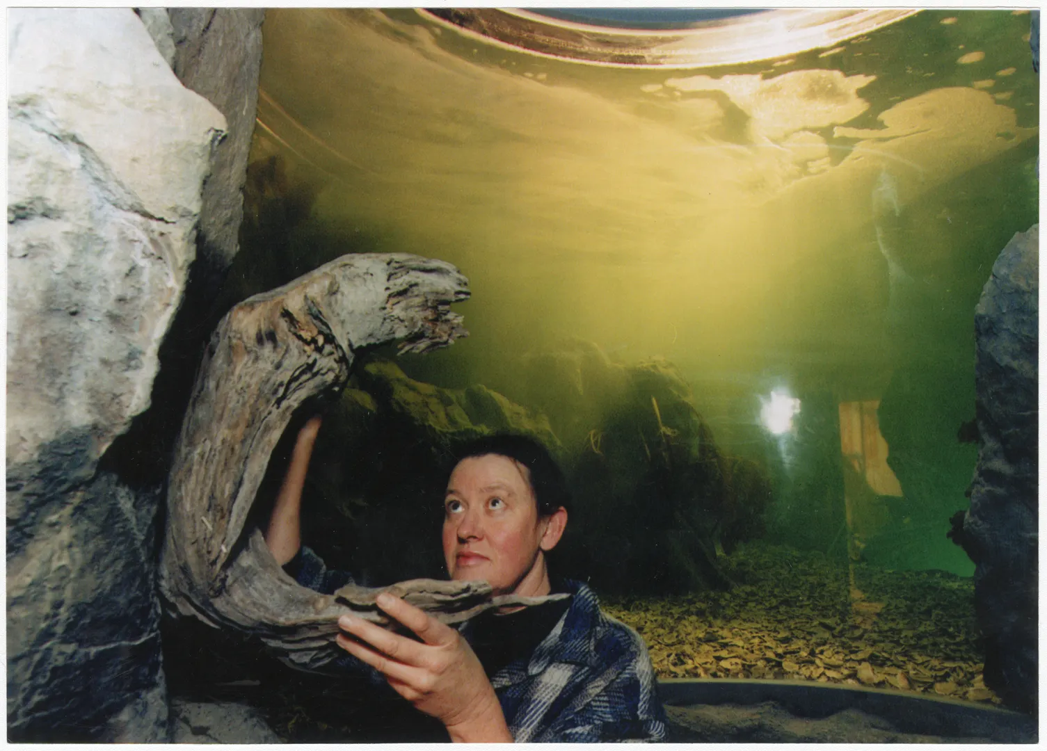 Southern Encounter Aquarium of Discovery