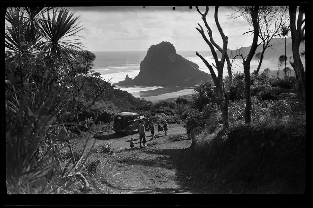Landscape at Piha