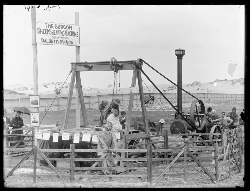 [Burgon sheep shearing machine]