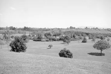 Image: Young trees at Hamilton Gardens