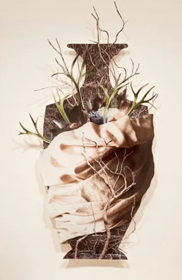 Nature Morte Image: Nature Morte