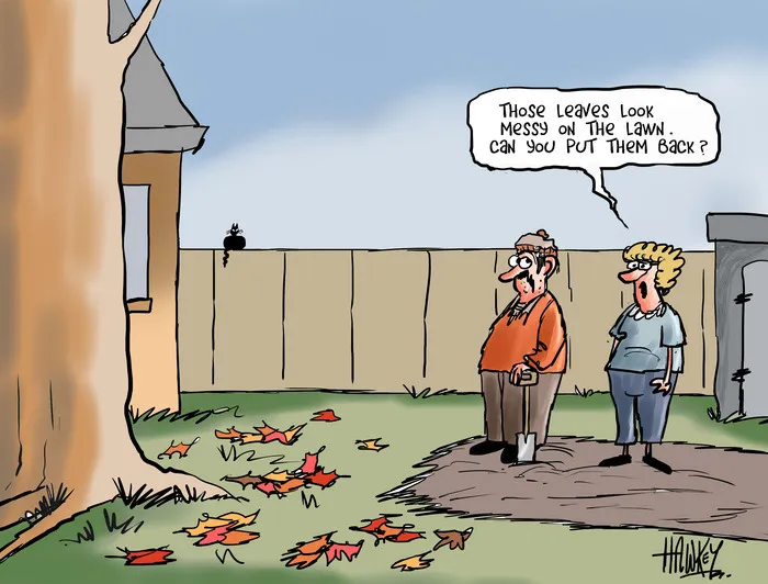 Hawkey, Allan Charles, 1941- :[Autumn]. 14 May 2013